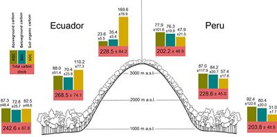 Trade-Offs Among Aboveground, Belowground, and Soil Organic Carbon Stocks Along Altitudinal Gradients in Andean Tropical Montane Forests